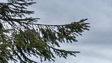 Jeep Wrangler 4xe / Foto: Stellantis