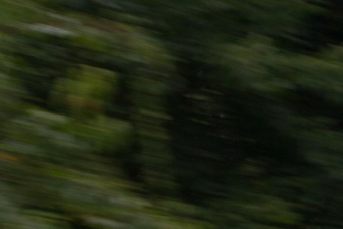 Volkswagen Classic Beetle 2015