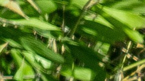 Porsche 911 Turbo / Foto: World Car Awards