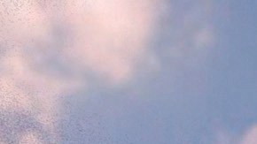 Planta de Toyota en Indiana / Foto: Toyota