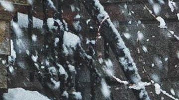 Auto congelado / Foto: Unsplash