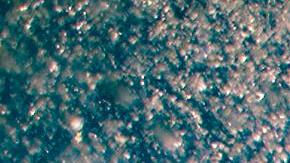 Auto sucio / Foto: Unsplash