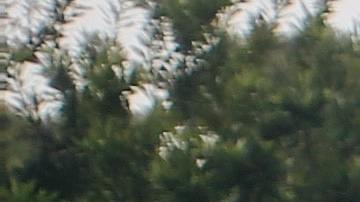 Auto limpio / Foto: Unsplash