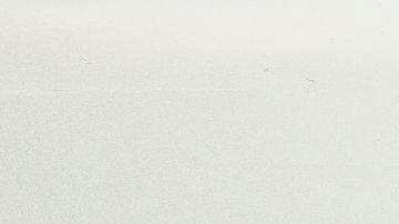 Foto con el logo de Huawei en primer plano