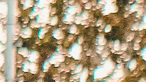 Foto de una persona siendo esposada cerca de una patrulla