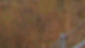 Toyota Celica GT-S 2005