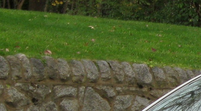 corros de venta barato cerca de mi