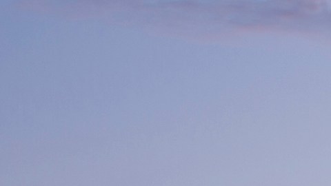 Foto de un Honda Accord 2013