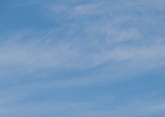 Foto del Toyota Corolla 2021