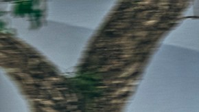 Foto del Ami de Citroën estacionado en una calle