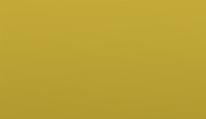 2021 Dodge Charger LD