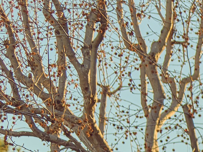 Foto de una estación de carga rápida de Electrify América