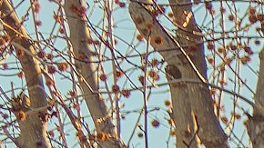 Foto de una estación de carga rápida de Electrify América