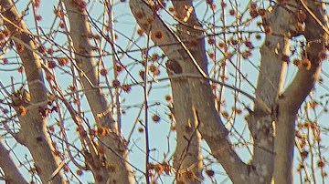 Foto de una estación de carga rápida de Electrify América