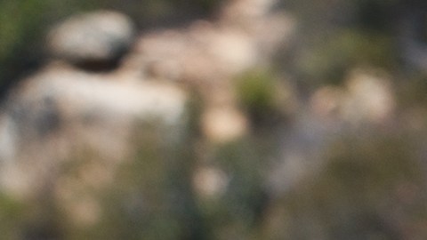 Foto del ID.4 de Volkswagen antes de iniciar su camino en el rally por Baja California