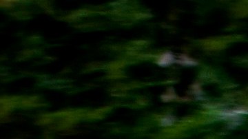 Vista frontal del Subaru Outback Wilderness 2022