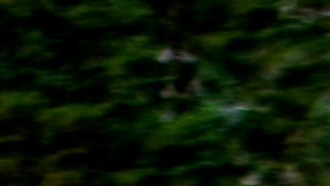 Vista frontal del Subaru Outback Wilderness 2022