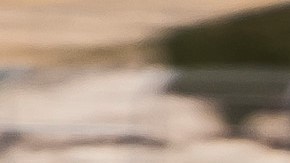 Foto del Acura TLX Type S 2021 en la pista