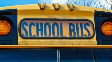 Autobús escolar. / Foto: Pixabay.