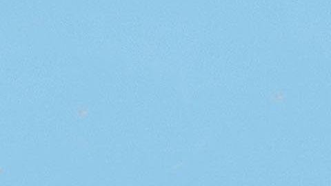 Viaje de verano