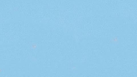 Viaje de verano