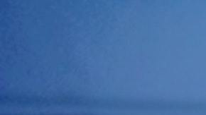 Foto de varios autos Mercedez-Benz