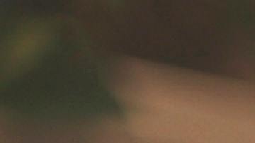 Foto de un ejecutivo en una oficina frente a una laptop mientras habla por teléfono.