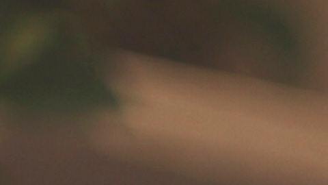 Foto de un ejecutivo en una oficina frente a una laptop mientras habla por teléfono.