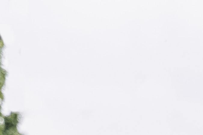 Foto de varios autos de colores estacionados en fila