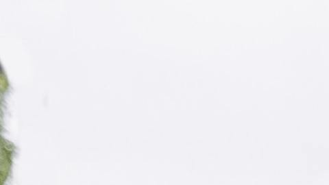 Foto de varios autos de colores estacionados en fila