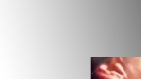 picadas ferrari licencias de conducir