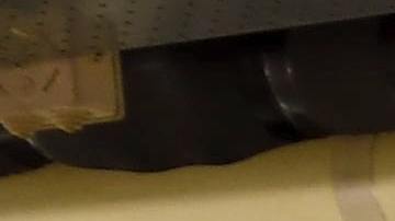 Ferrari F40 / Foto: Unsplash.