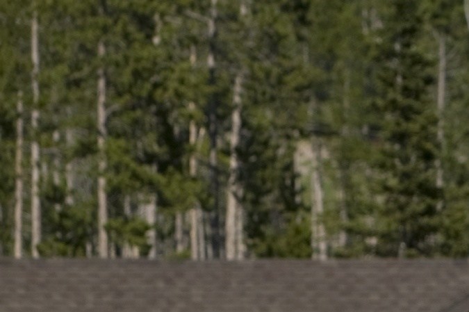 Toyota Land Cruiser 2016