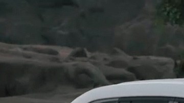 Toyota Land Cruiser 2022