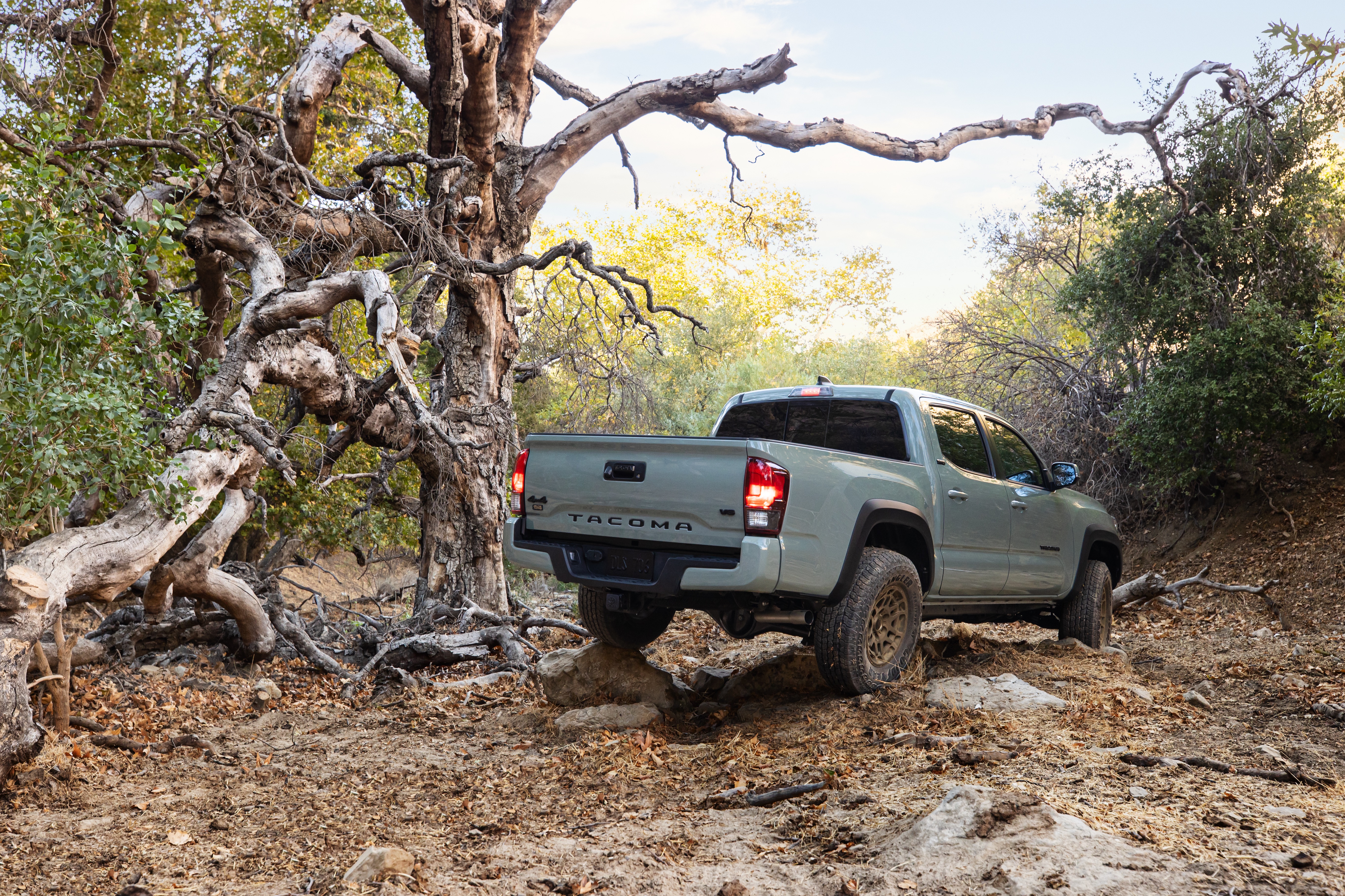 Toyota Tacoma Trail Edition 2022