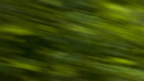 Comprar un auto usado barato requiere una investigación cuidadosa y una evaluación detallada del estado del vehículo.