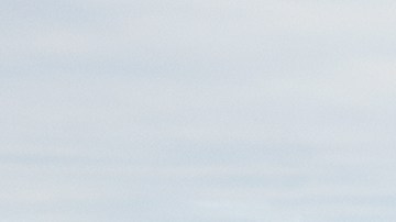 Foto de la Ford Bronco 2021 rodeada de cabras