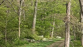 2022 Land Rover Defender 90.