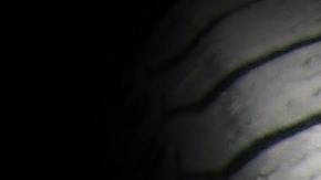 La historia de la Llanta