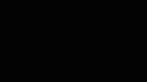 Odometro
