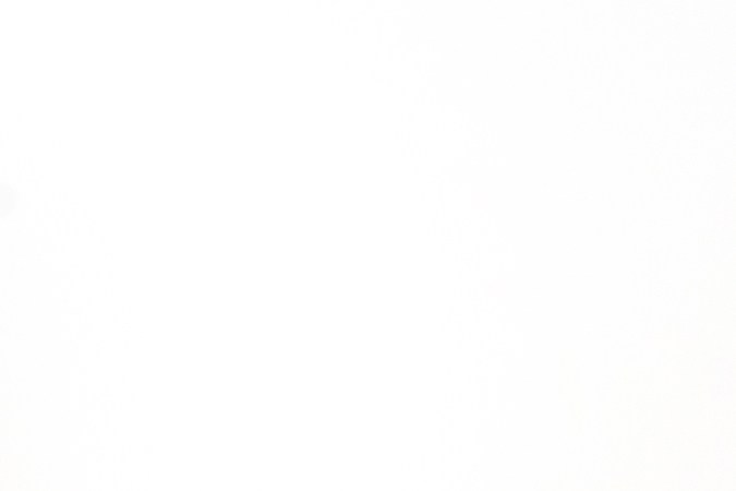 Vista trasera de la R1T de Rivian