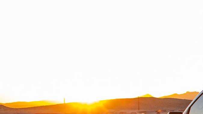 Shelby Ford F-150 2021