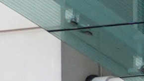 Volkswagen ID.4 2021