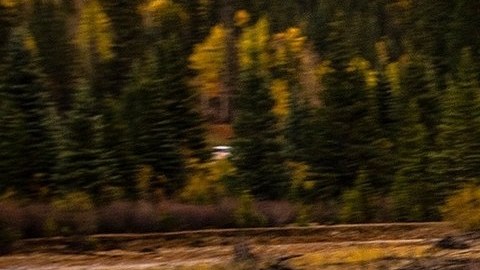 Jeep Wrangler 2020