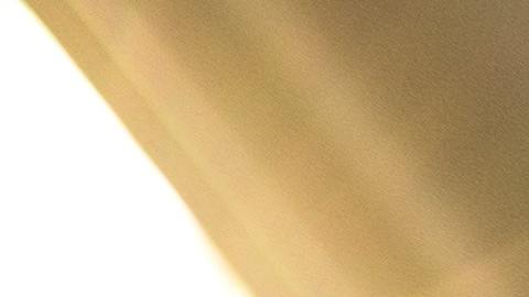 Los autos preferidos por los latinos