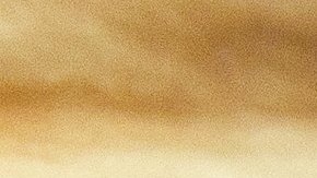 Chevrolet Corvette 2021