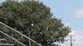 Chevrolet COPO Camaro 2022