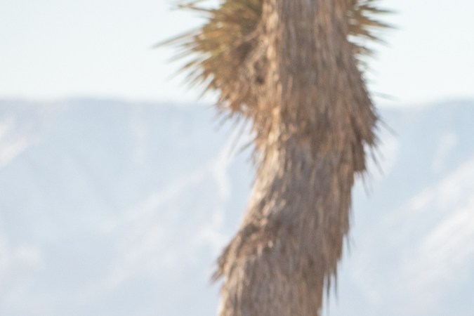 Nissan Frontier 2022