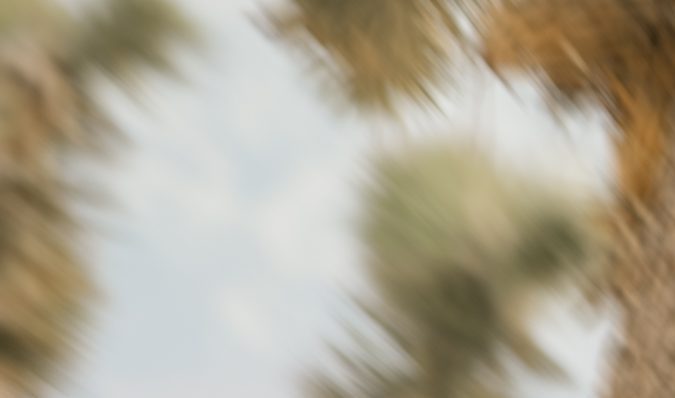 Nissan Frontier 2021