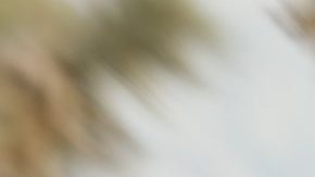 Nissan Frontier 2021